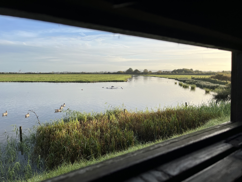 Summer walkway and 28th of October sightings